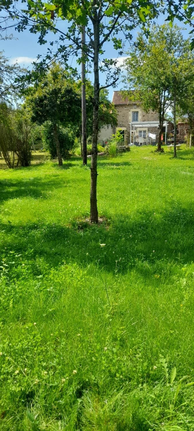 Patio, Garden, Garden, Garden view