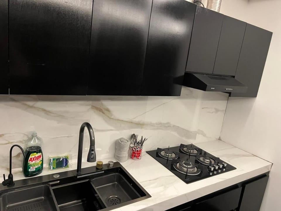 Departamento Monaco Apartment in Aguascalientes
