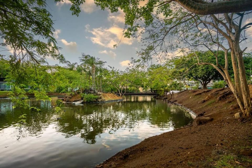 Casa Lago - Full home House in Tamarindo