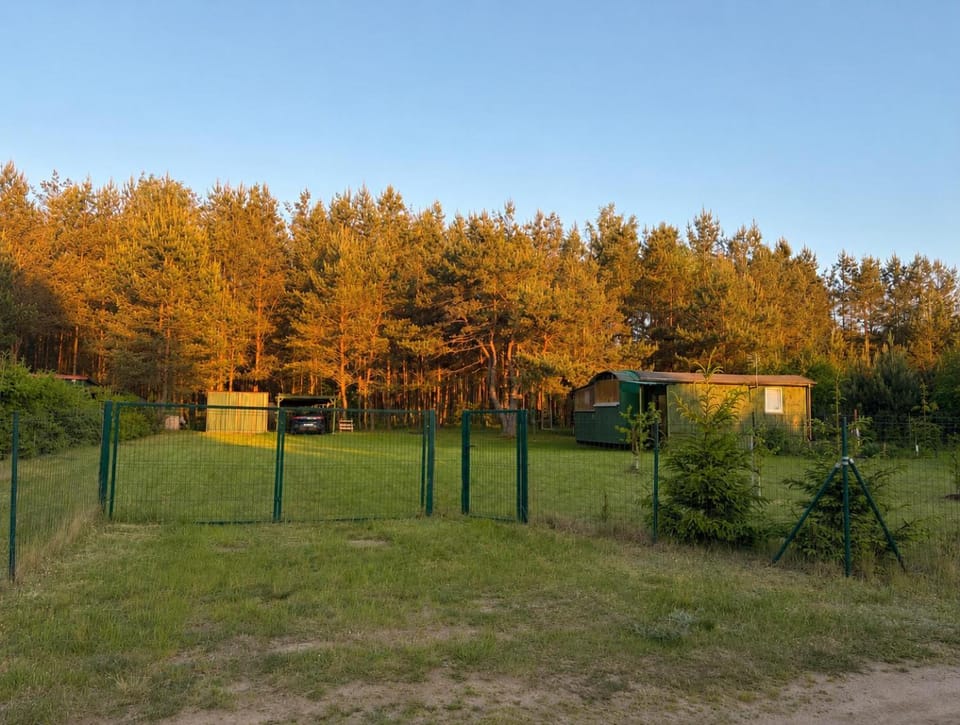 Leśny Wóz Drzymały Spore - 1500 m2 terenu na wyłączność! House in West Pomeranian Voivodeship, Poland