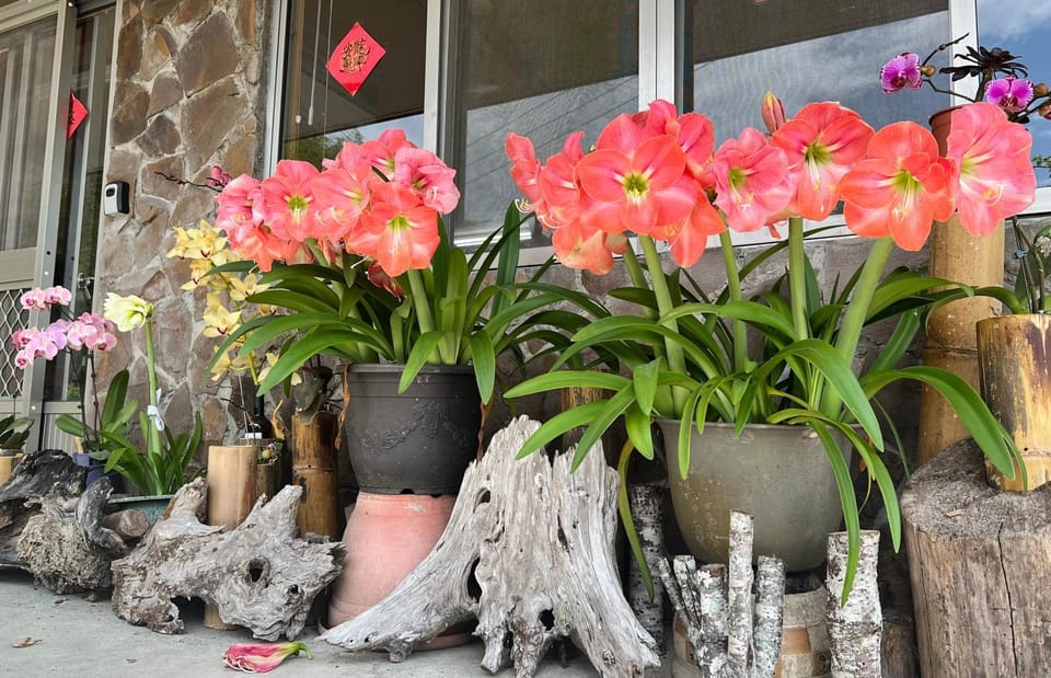 仲明居Zhong Ming Ju Taoyi Fang Bed and Breakfast in Kaohsiung