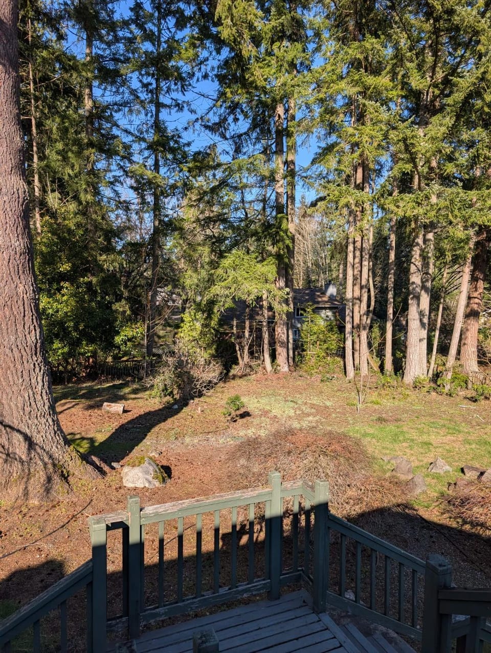 Inner courtyard view