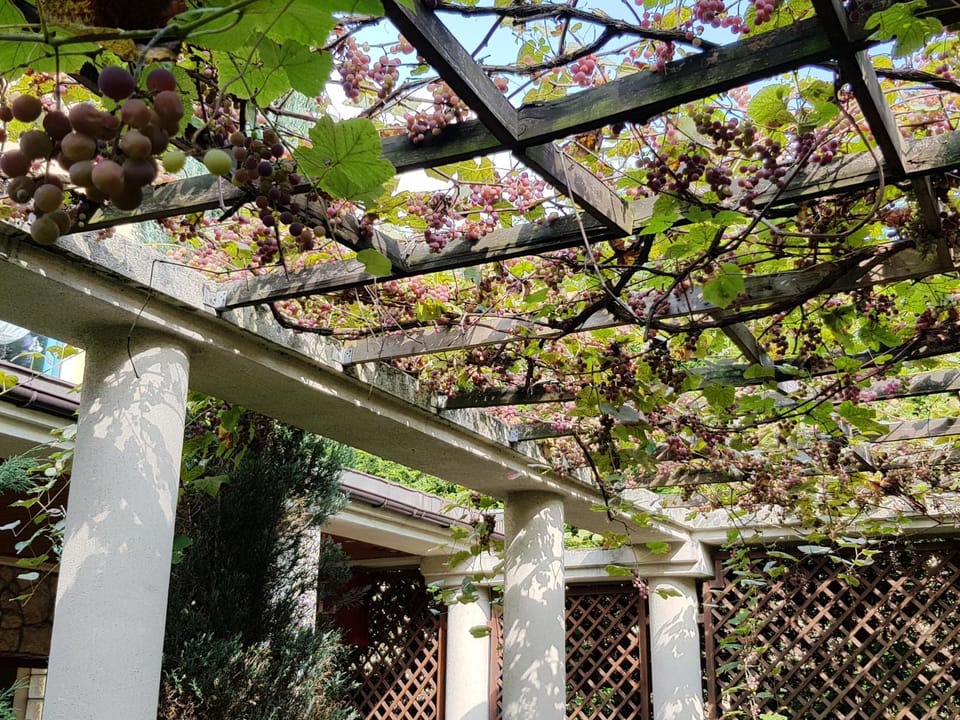 Facade/entrance, Natural landscape, Garden, Autumn, Sunrise