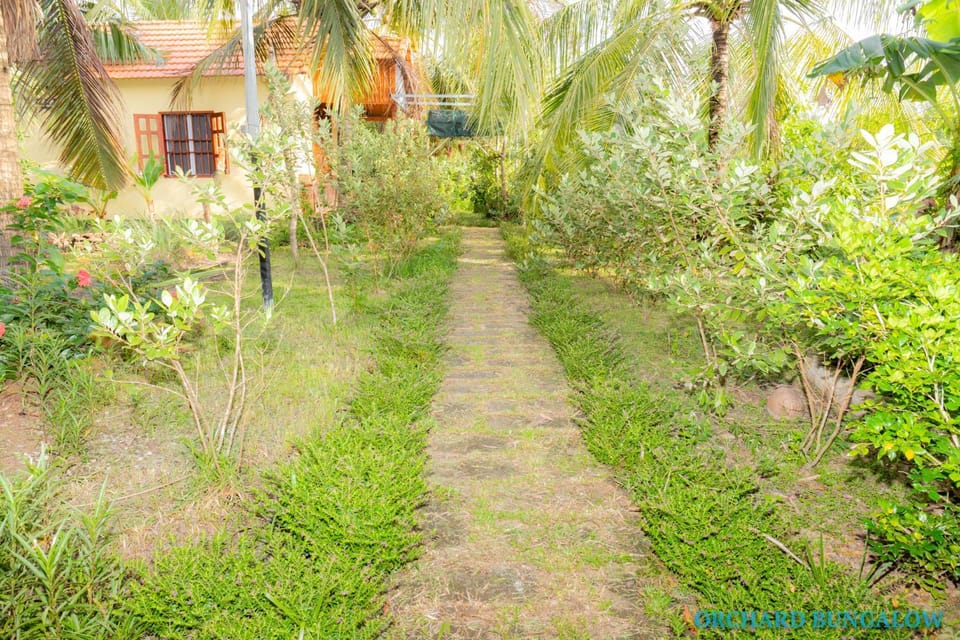 Neighbourhood, Natural landscape, Other