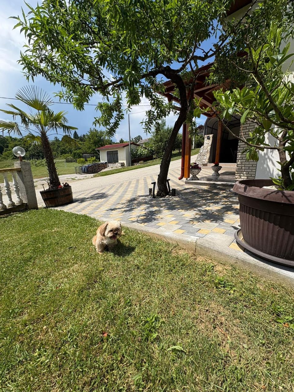 Apartmani HeManoS Apartment in Croatia