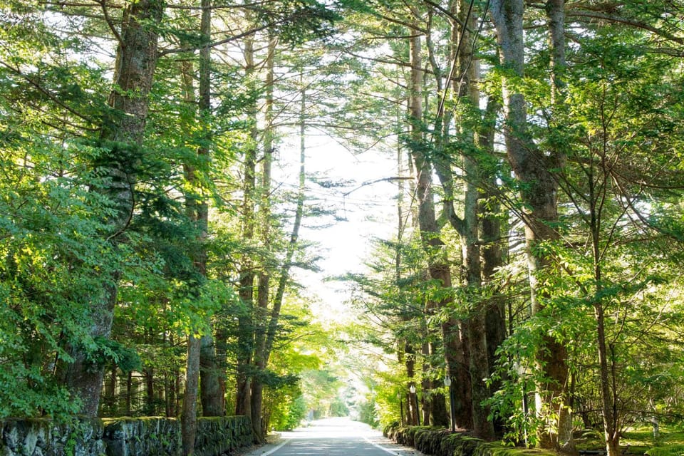 Natural landscape, Hiking