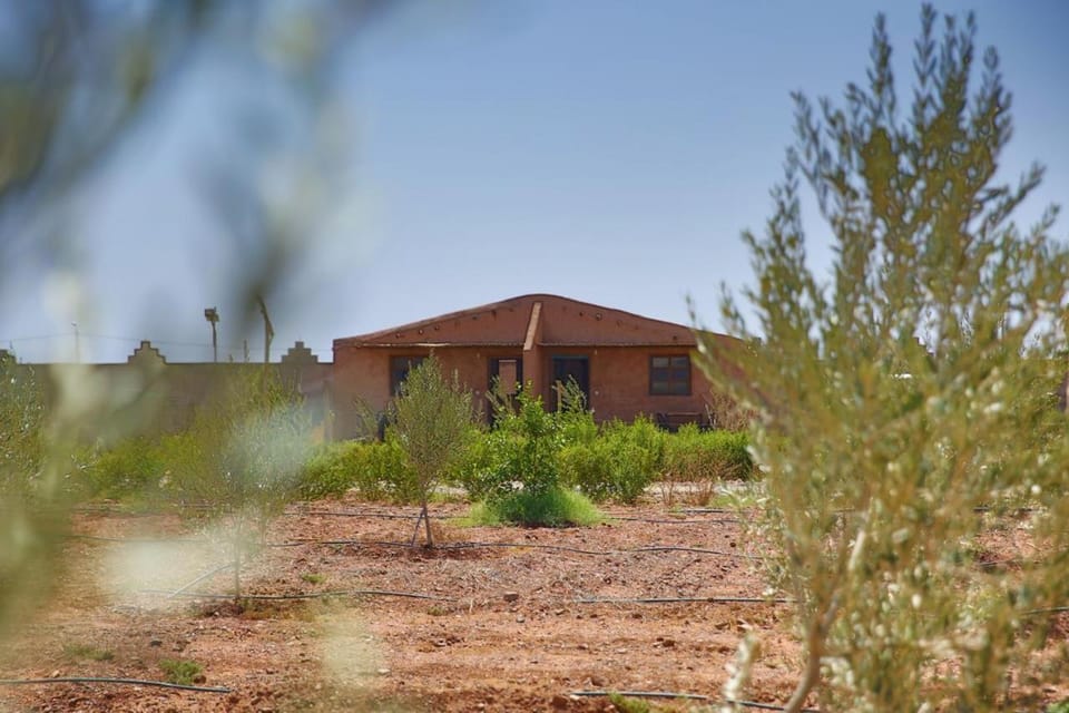 Dômes et Bangalows traditionnel Farm Stay in Marrakesh