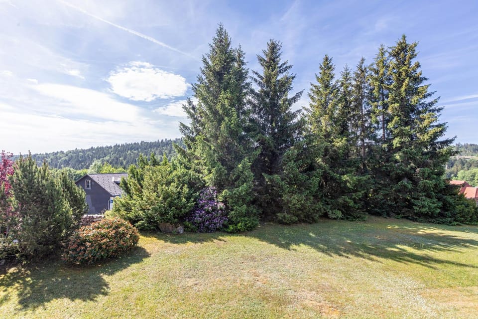 Beautiful Apartment Apartment in Schluchsee