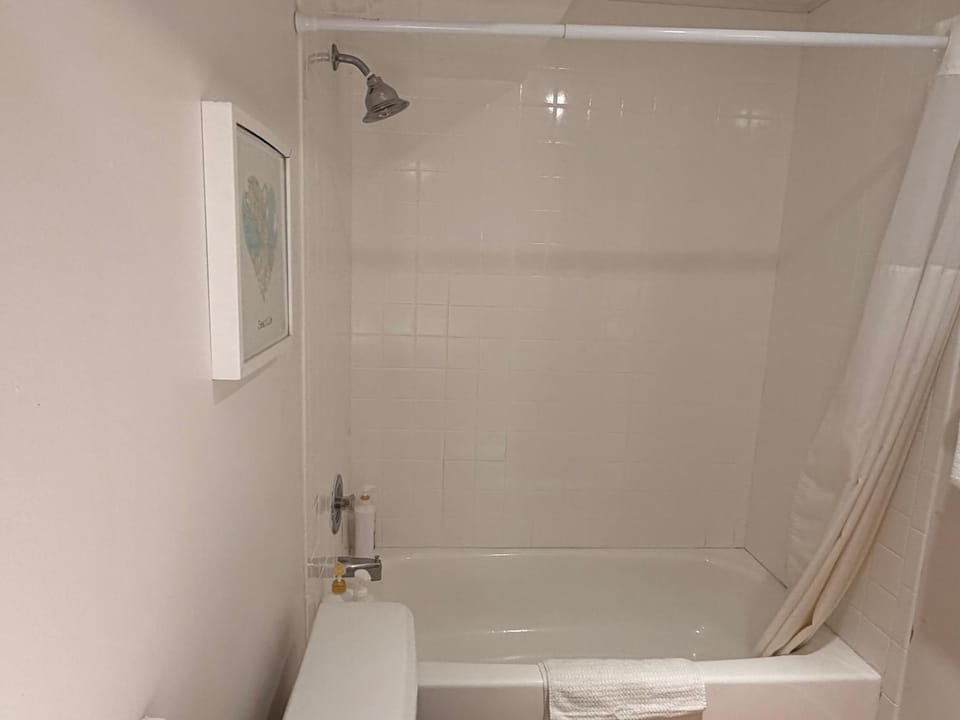 Quaint One Bedroom with Free Parking in Capitol Hill Apartment in Capitol Hill