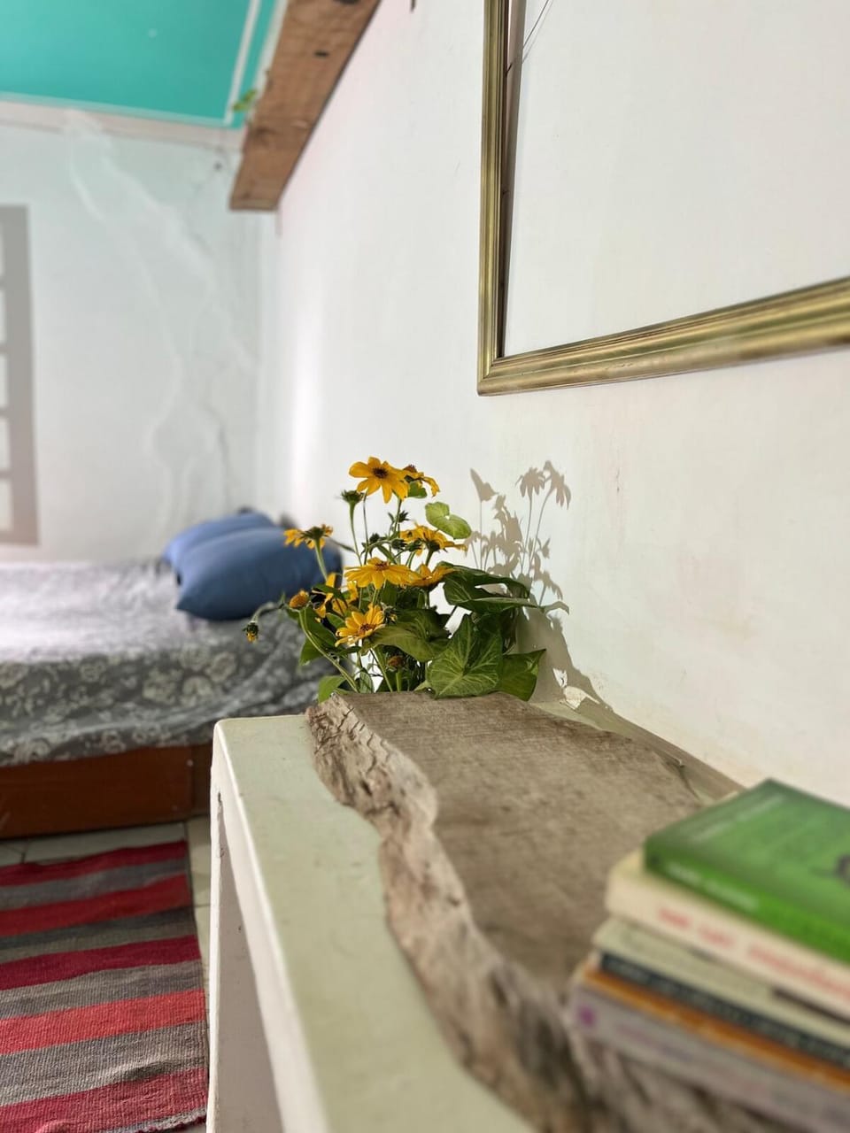 Casa Alquimia Completa House in Santa Cruz Department, Bolivia