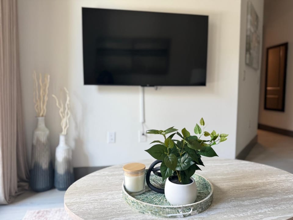 Penthouse Montrose 12 mins to NRG Med CNTR Apartment in Houston