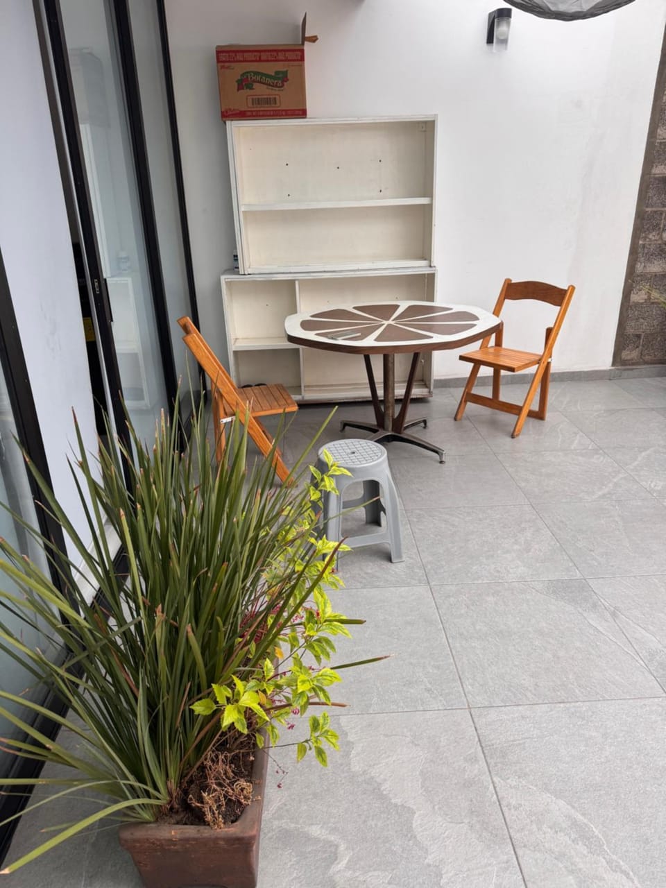 Havana House Bed and Breakfast in Mexico City