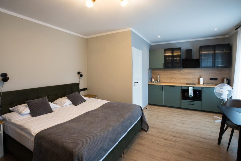 Kitchen or kitchenette, Bedroom