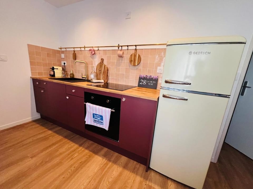 La vie en Rose Apartment in Le Mans