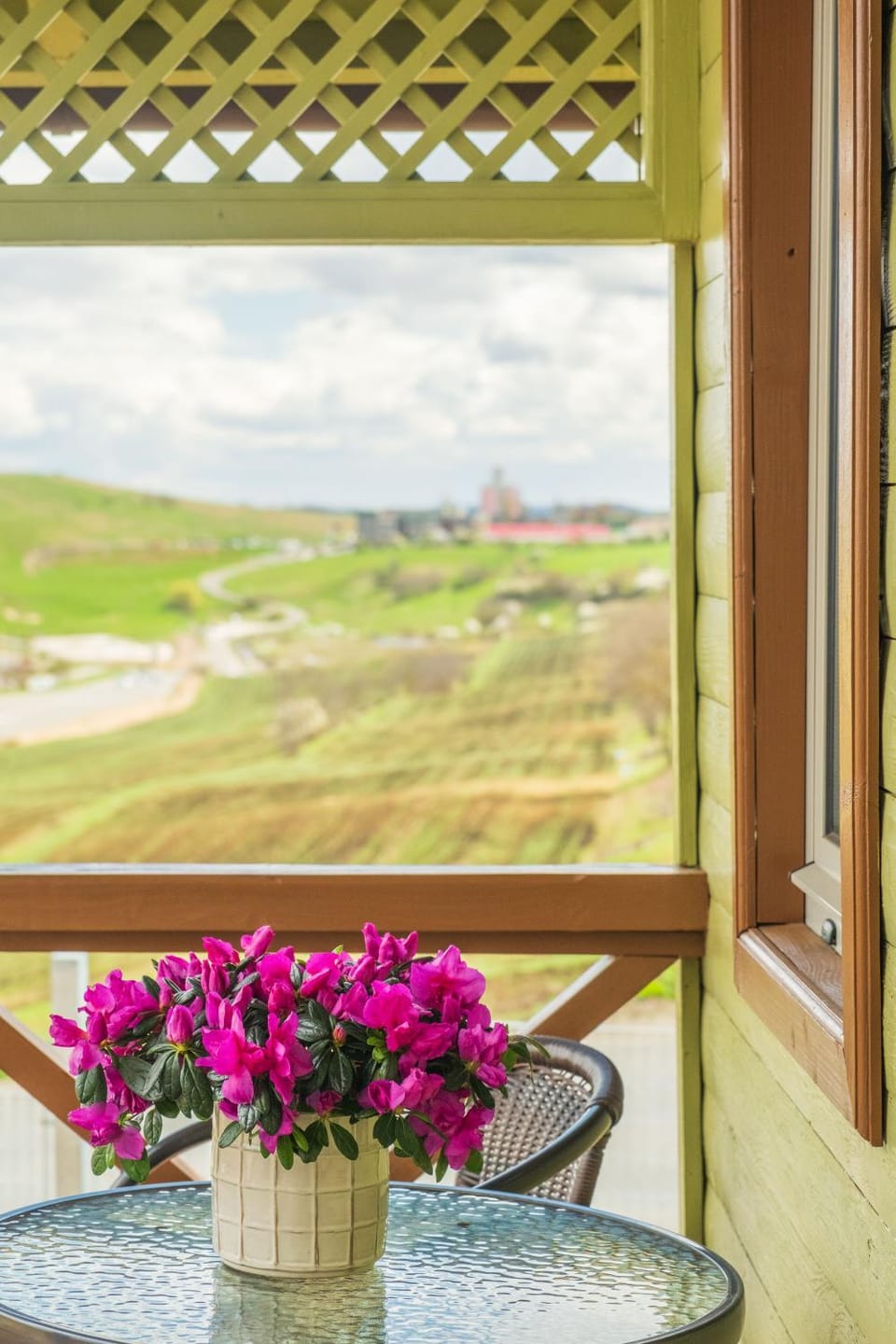 View (from property/room), Garden view