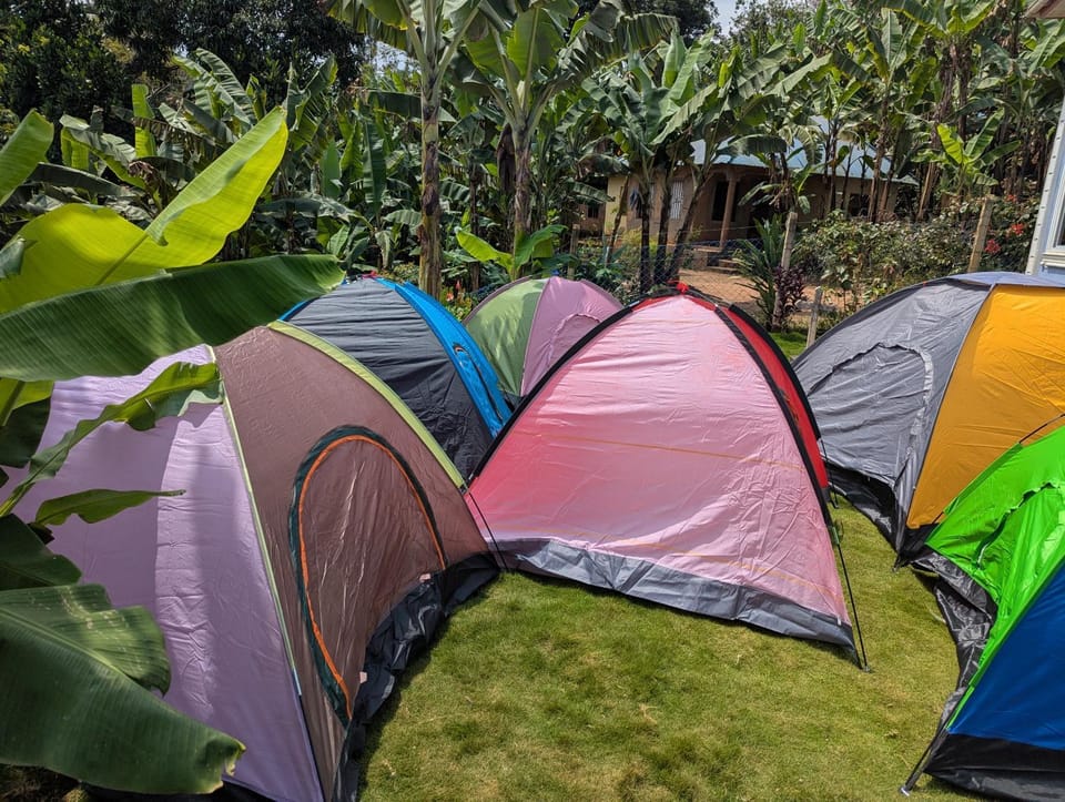 Kilimanjaro Forest Lodge and Camping Site Bed and Breakfast in Tanzania