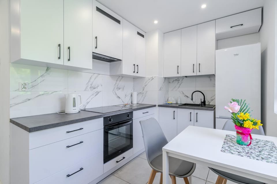 Kitchen or kitchenette, Dining area, stove