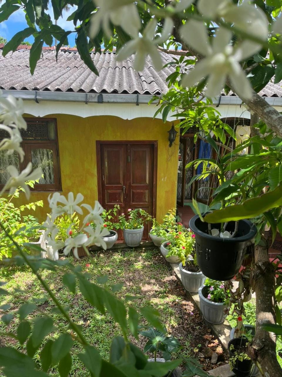 Tropical Homestay Alovera House in Southern Province