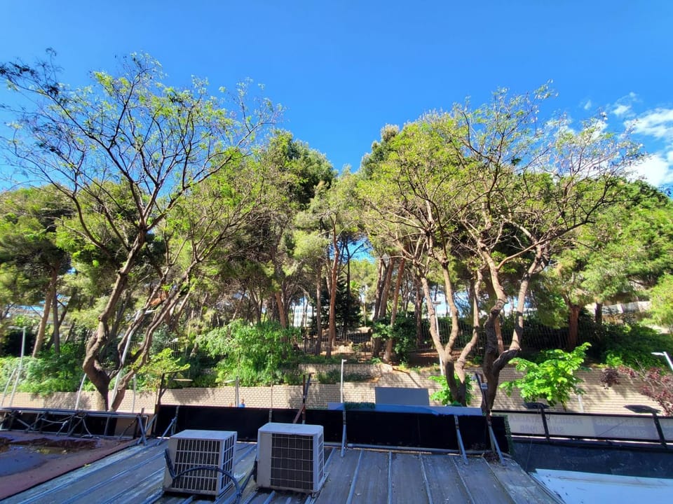 LV Carles Buigas Apartment in Salou