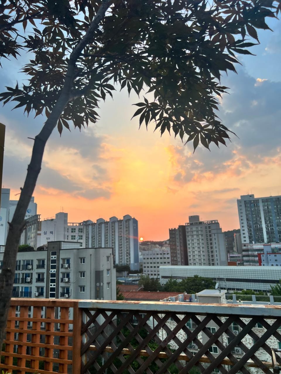 View (from property/room)