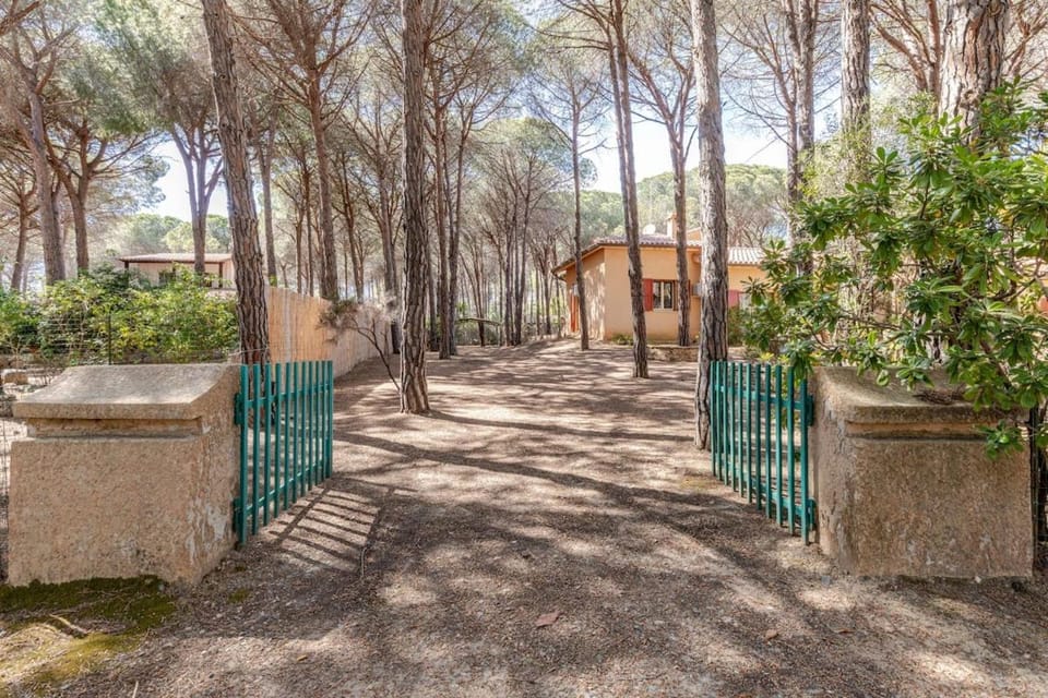 Villa Valeria, 8 guests, surrounded by pine forest and the sea Apartment in Sardinia