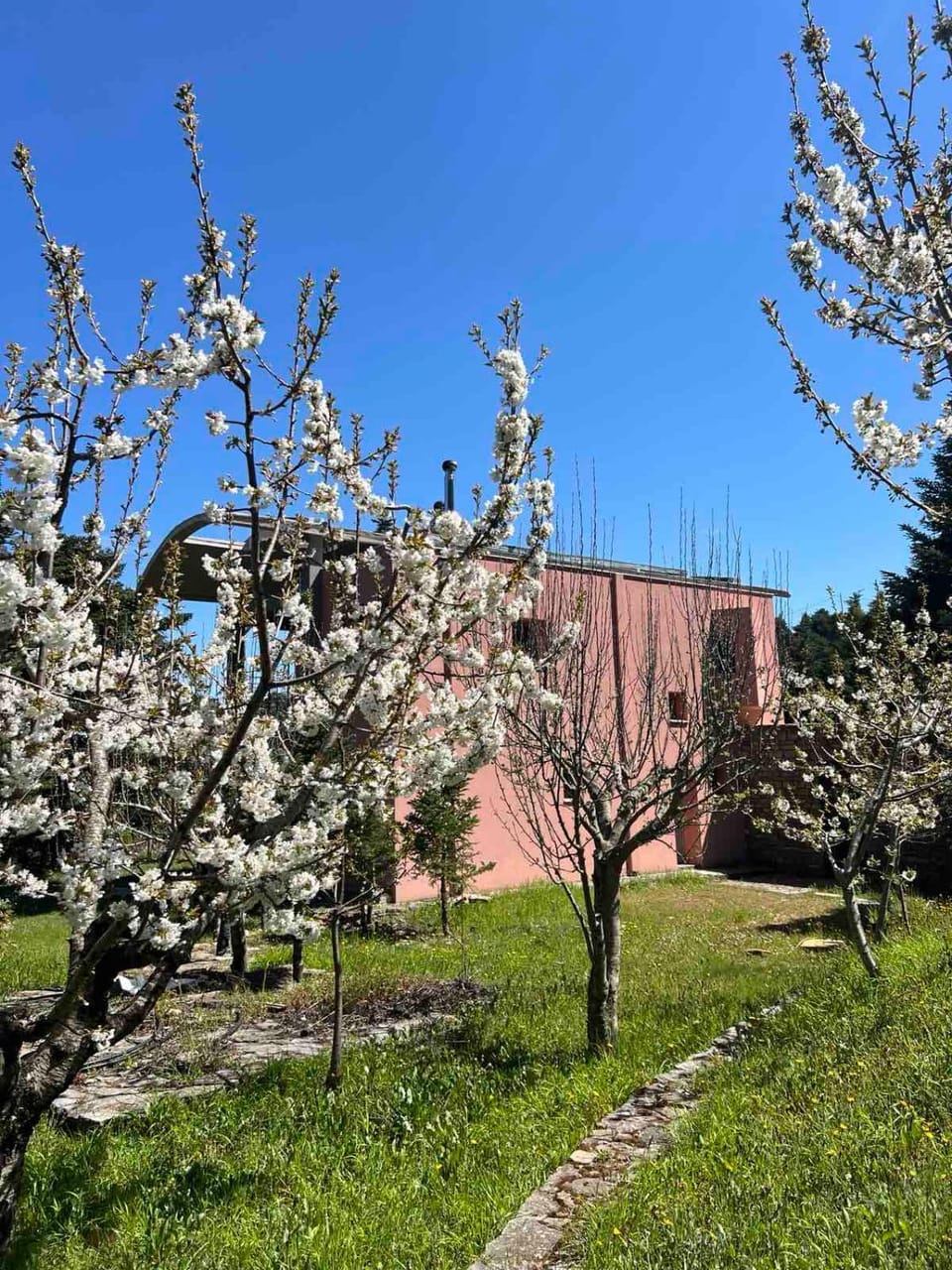 Seta Forest House House in Euboea