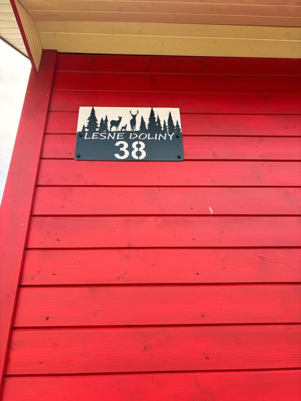 Leśne Doliny 38 House in Poland