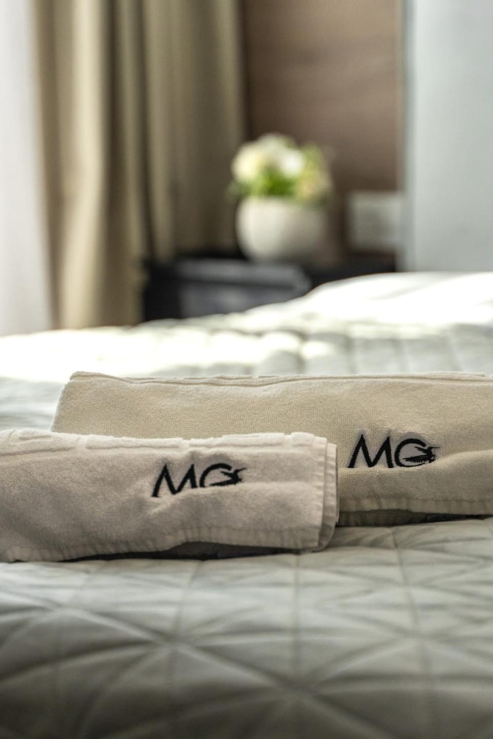 MoHost Alex Apartment in Brasov