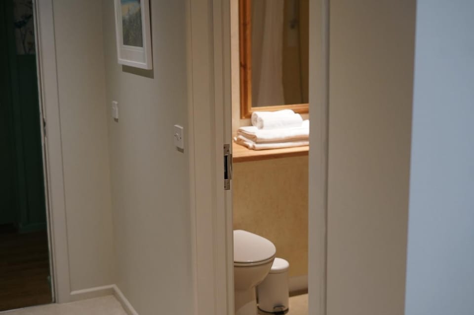 Shower, Toilet, Property building, Bathroom, Decorative detail, towels
