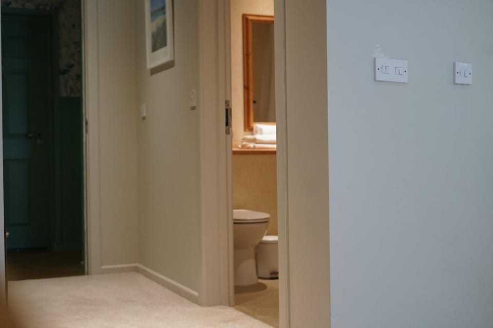 Shower, Toilet, Bathroom, Decorative detail, towels