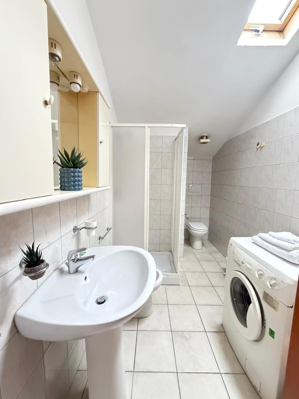 Toilet, Bathroom, washing machine