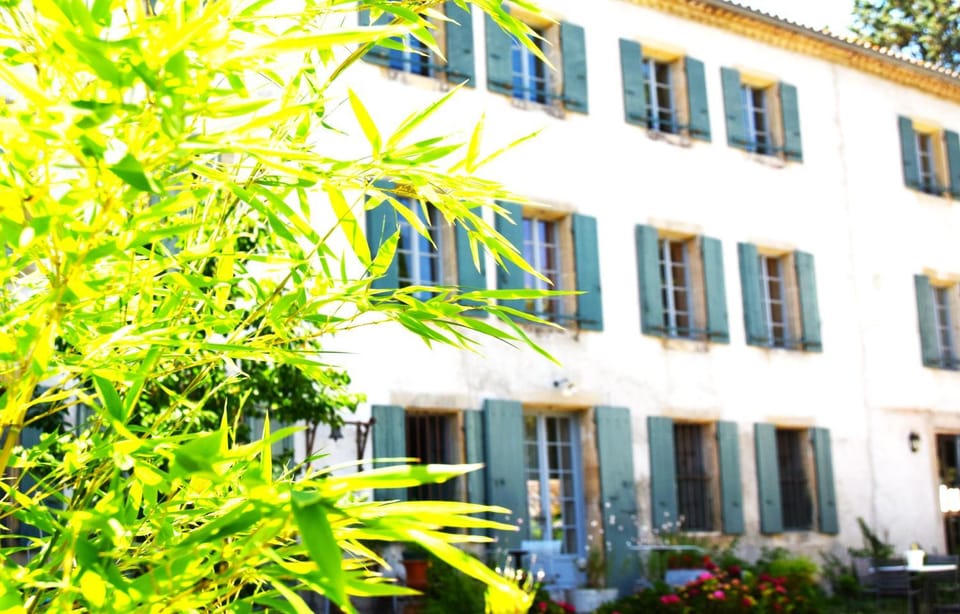 Property building, Garden, Garden view