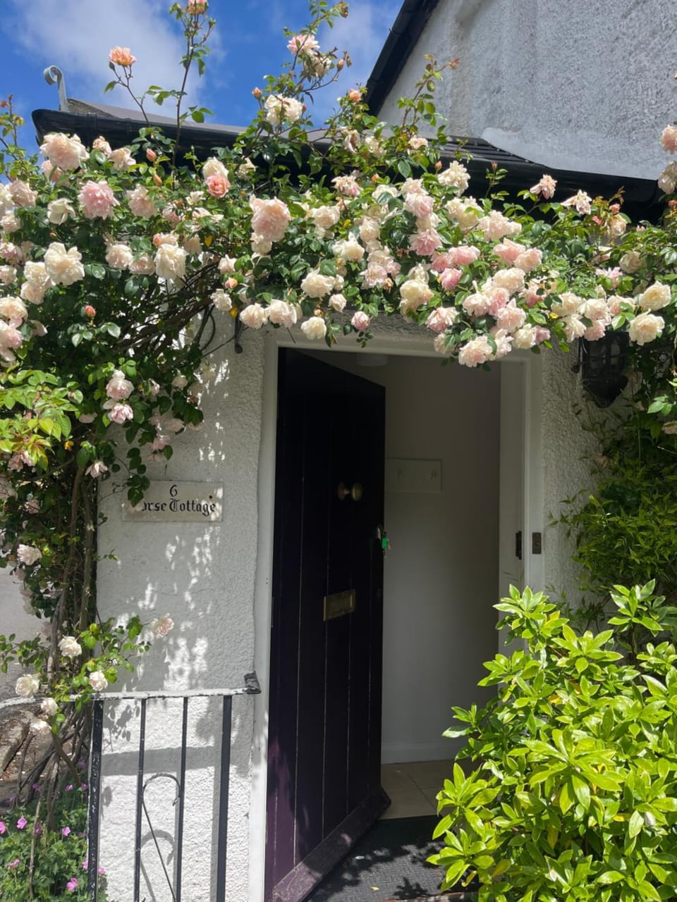 Gorse cottage House in Bovey Tracey