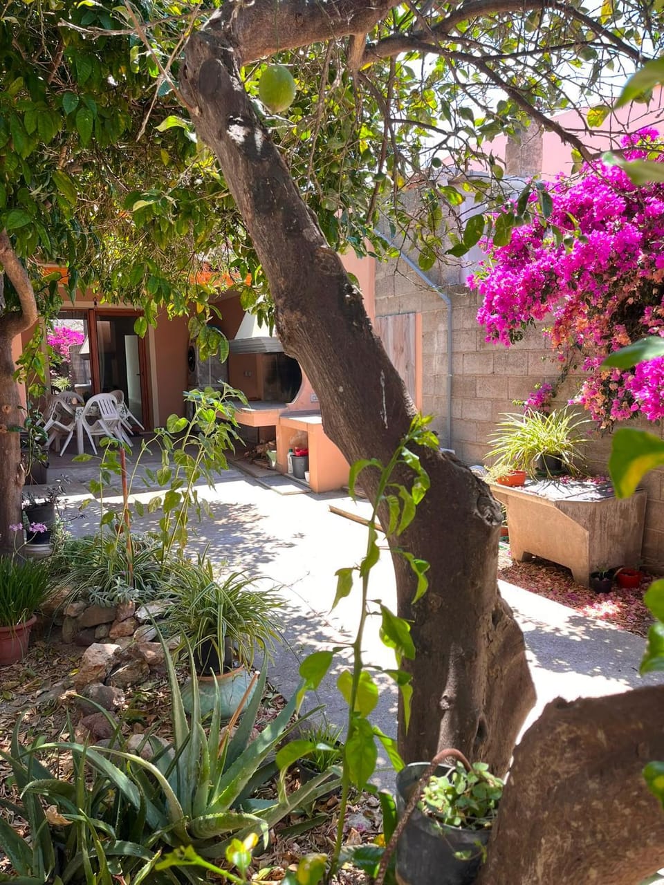 Garden, Garden view