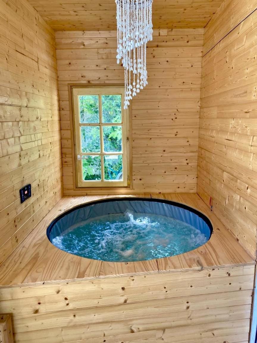 Villa charmante - Piscine- Jacuzzi Villa in Le Puy-Sainte-Réparade