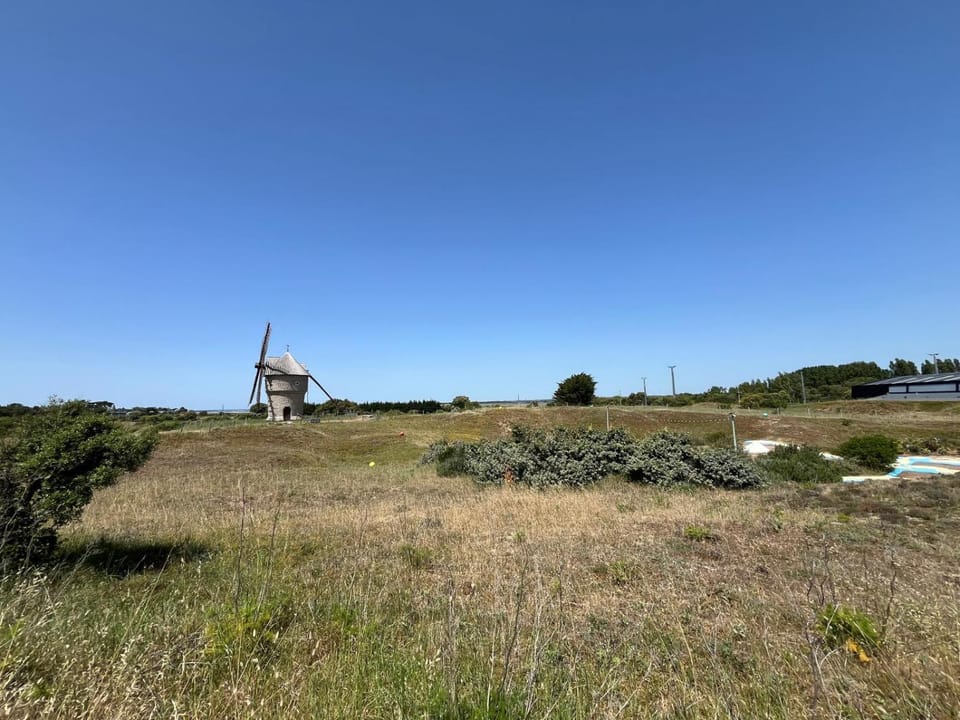 Day, Natural landscape