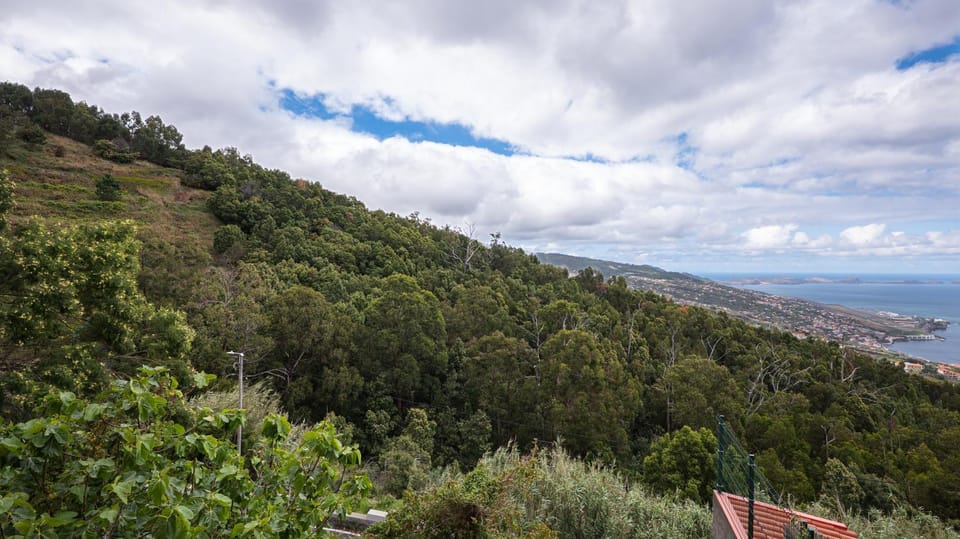 Casinha Da Marlene House in Madeira District