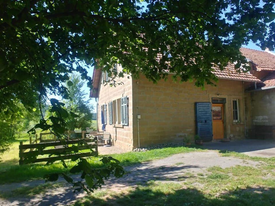 Property building, Spring, Garden, Garden view