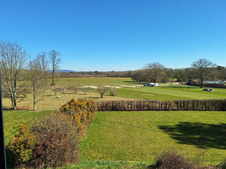 Natural landscape, Garden, Garden view