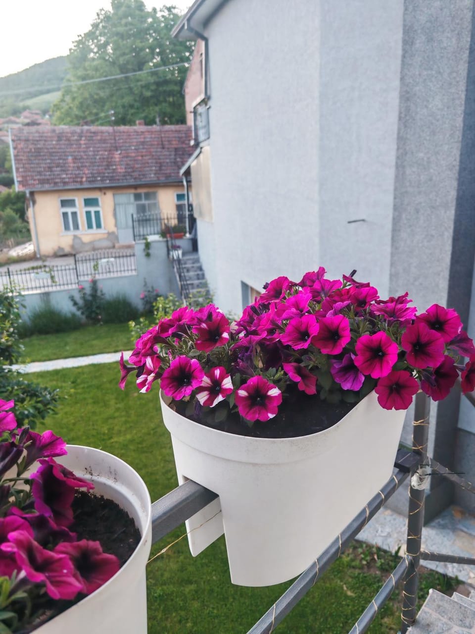 Gaga Apartment in Serbia