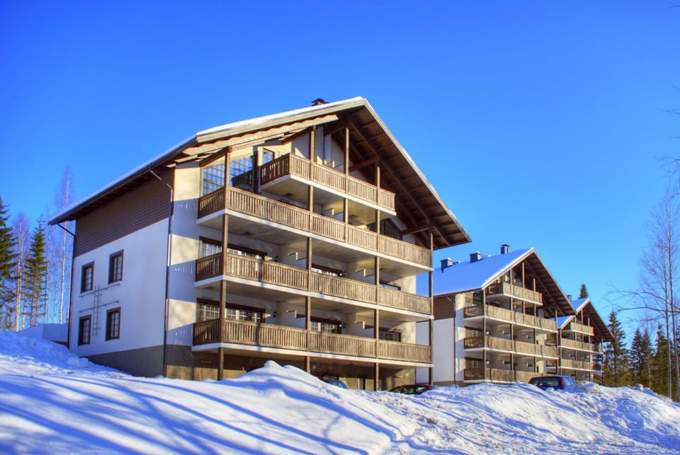 Tahkonkehto C 202 Chalet in Finland