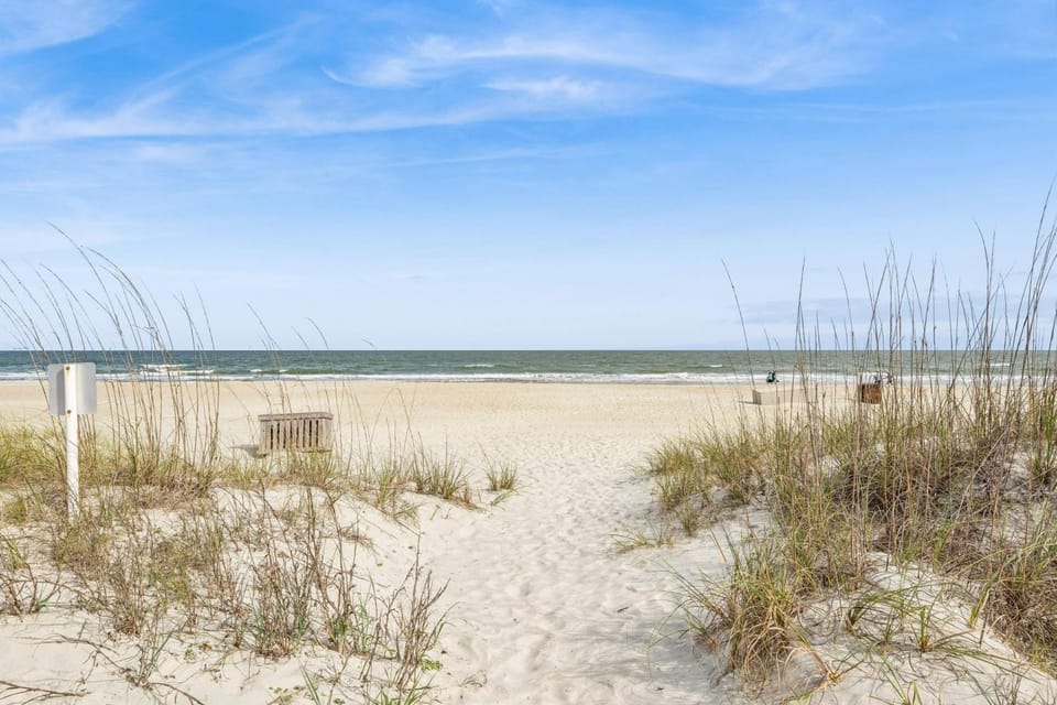Day, Natural landscape, Beach