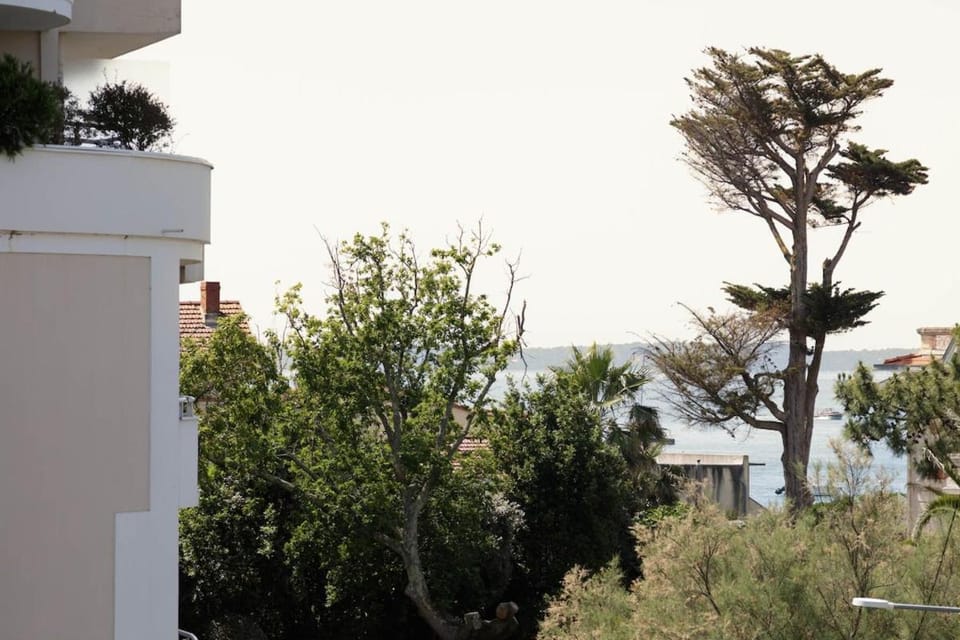 Studio à 50 m de la plage Apartment in Arcachon