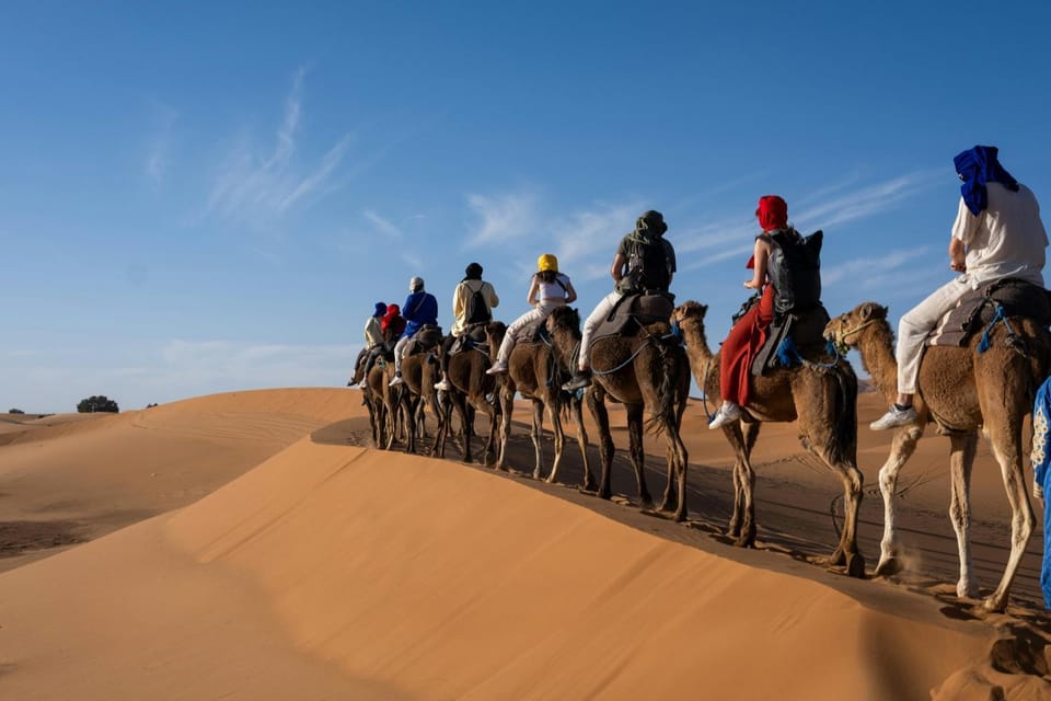 Day, People, Horse-riding, Animals, group of guests