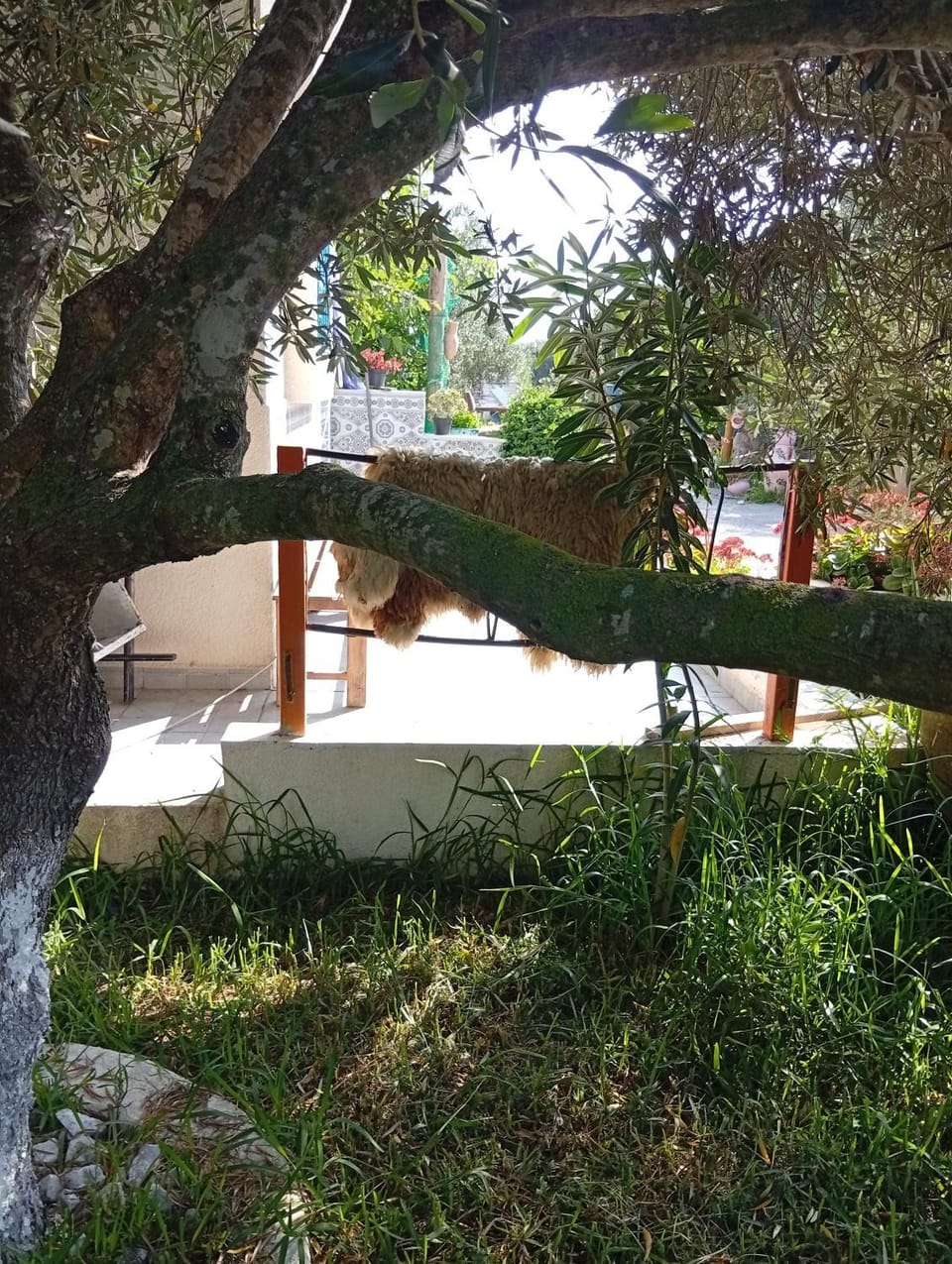 casaverde Campground/ 
RV Resort in Tunisia