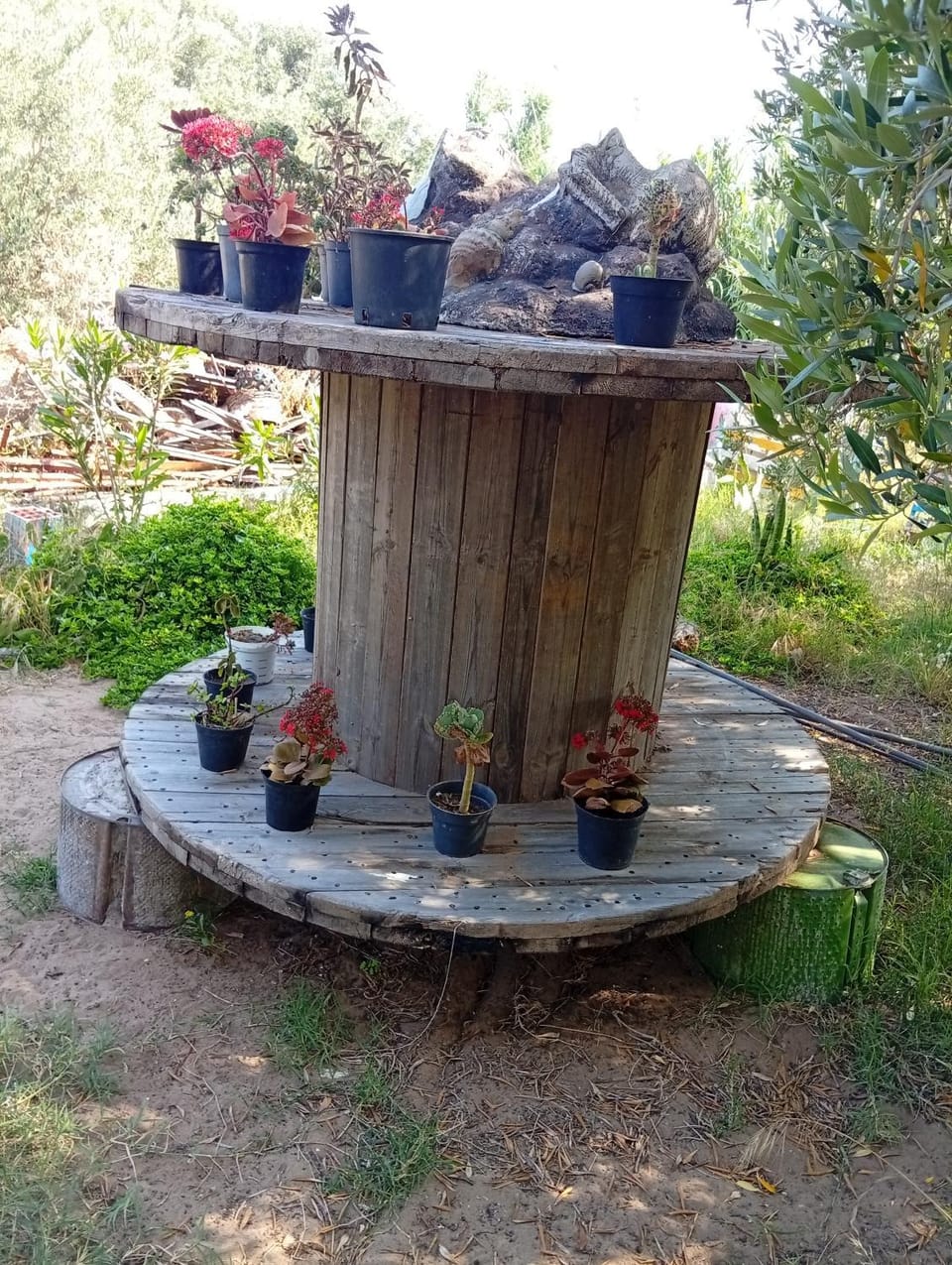 casaverde Campground/ 
RV Resort in Tunisia