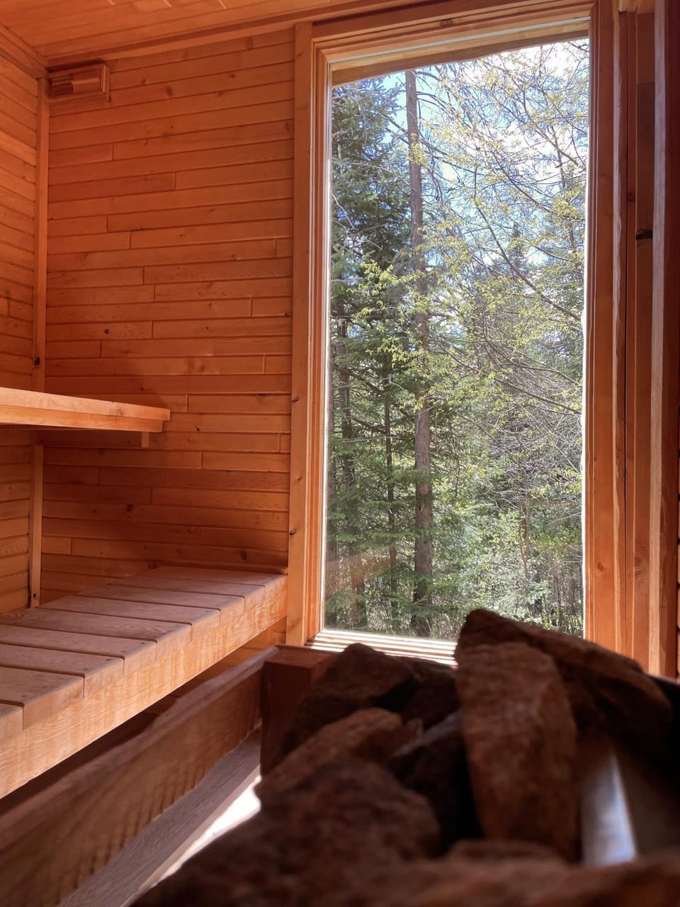 Sauna, Sauna
