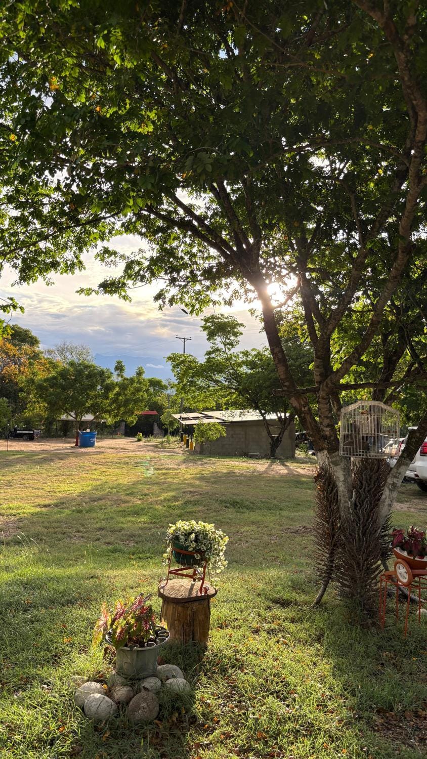 La melosa House in Girardot