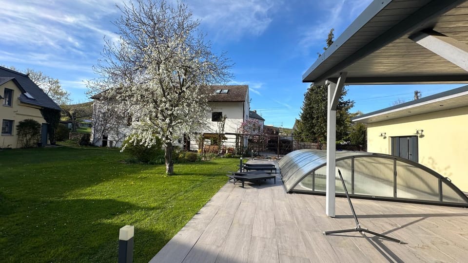 Spring, Garden, Garden view