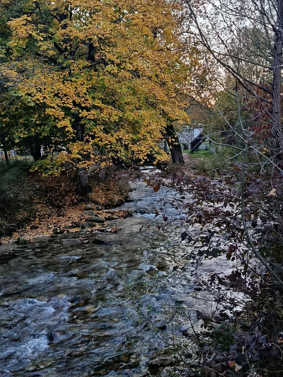 Natural landscape